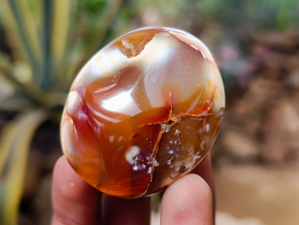 Polished Carnelian Agate Galet x 20 From Madagascar - Toprock Gemstones and Minerals 