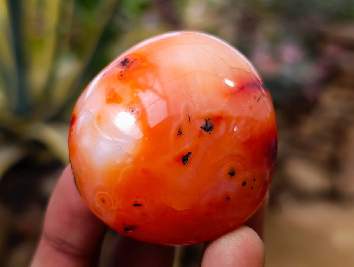 Polished Carnelian Agate Galet x 20 From Madagascar - Toprock Gemstones and Minerals 