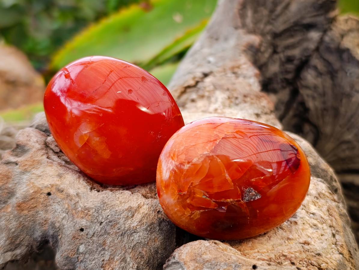 Polished Carnelian Agate Galet x 20 From Madagascar - Toprock Gemstones and Minerals 