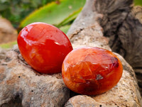 Polished Carnelian Agate Galet x 20 From Madagascar
