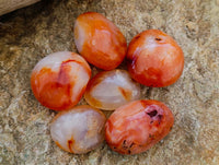 Polished Carnelian Agate Galet x 20 From Madagascar