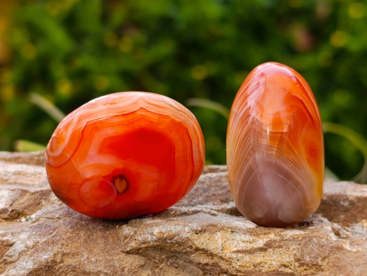Polished Carnelian Agate Galet x 20 From Madagascar - Toprock Gemstones and Minerals 