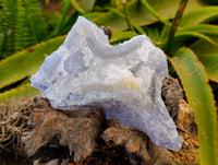 Natural Etched Blue Chalcedony Geodes x 3 From Nsanje, Malawi - Toprock Gemstones and Minerals 