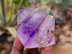 Polished Window Amethyst Crystals x 6 From Madagascar - Toprock Gemstones and Minerals 