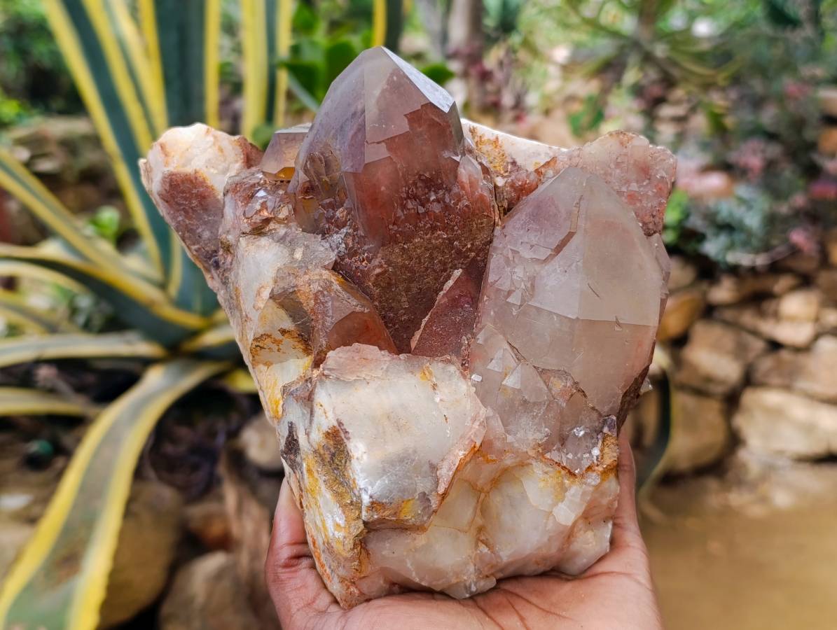 Natural Red Hematoid Quartz Cluster x 1 From Karoi, Zimbabwe - Toprock Gemstones and Minerals 