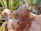 Natural Red Hematoid Quartz Cluster x 1 From Karoi, Zimbabwe - Toprock Gemstones and Minerals 