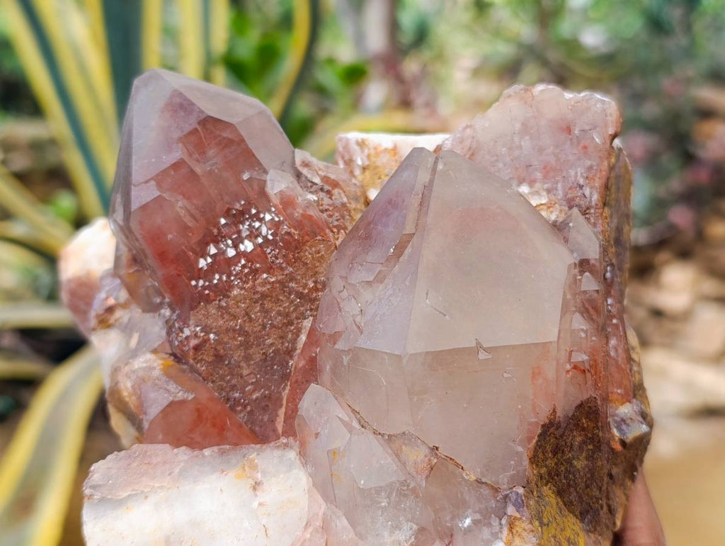 Natural Red Hematoid Quartz Cluster x 1 From Karoi, Zimbabwe - Toprock Gemstones and Minerals 