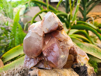 Natural Red Hematoid Quartz Cluster x 1 From Karoi, Zimbabwe - Toprock Gemstones and Minerals 