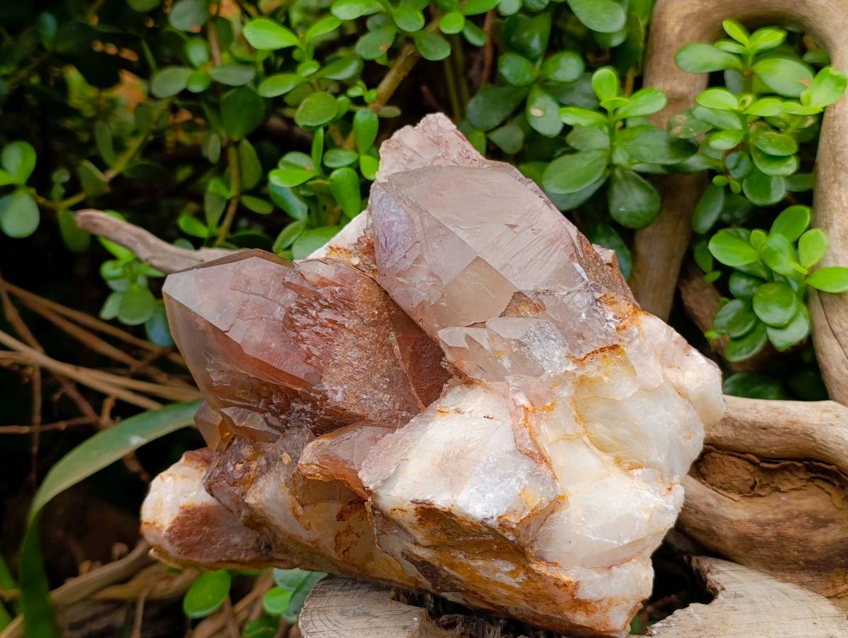 Natural Red Hematoid Quartz Cluster x 1 From Karoi, Zimbabwe - Toprock Gemstones and Minerals 