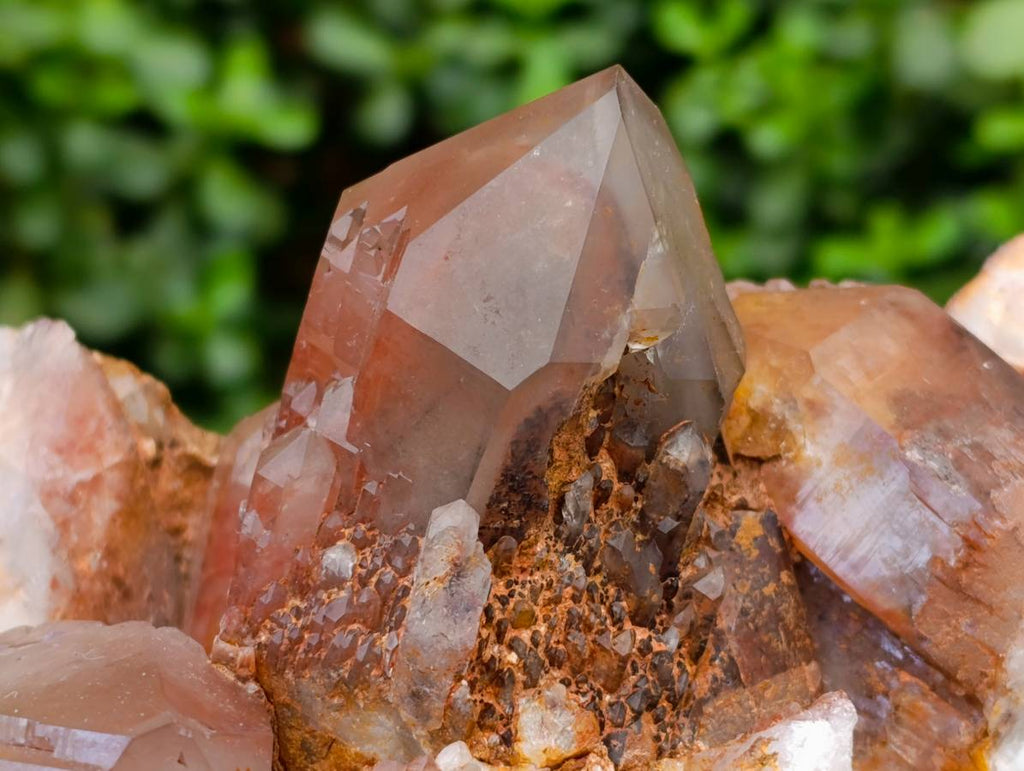 Natural Red Hematoid Quartz Cluster x 1 From Karoi, Zimbabwe - Toprock Gemstones and Minerals 
