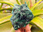 Natural Silky Malachite Specimens x 4 From Kasompe, Congo - Toprock Gemstones and Minerals 