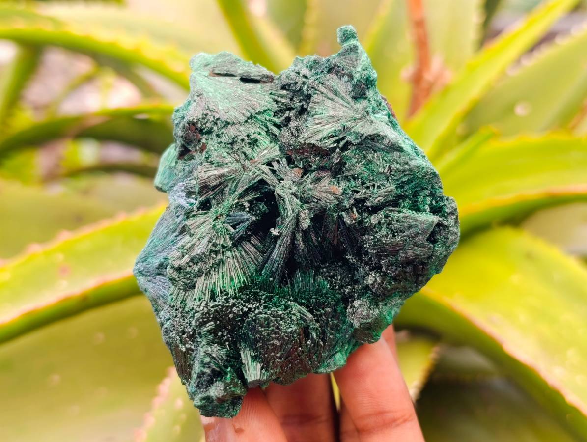 Natural Silky Malachite Specimens x 4 From Kasompe, Congo - Toprock Gemstones and Minerals 