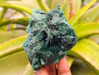 Natural Silky Malachite Specimens x 4 From Kasompe, Congo