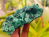 Natural Silky Malachite Specimens x 4 From Kasompe, Congo