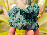 Natural Silky Malachite Specimens x 4 From Kasompe, Congo