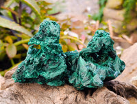 Natural Silky Malachite Specimens x 4 From Kasompe, Congo