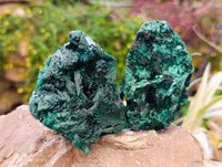 Natural Silky Malachite Specimens x 4 From Kasompe, Congo