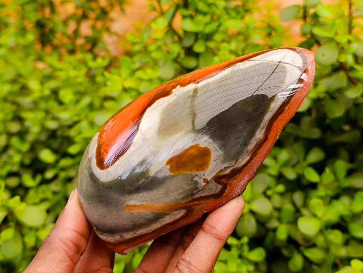 Polished On One Side Polychrome Jasper x 4 From NW Coast Madagascar - Toprock Gemstones and Minerals 