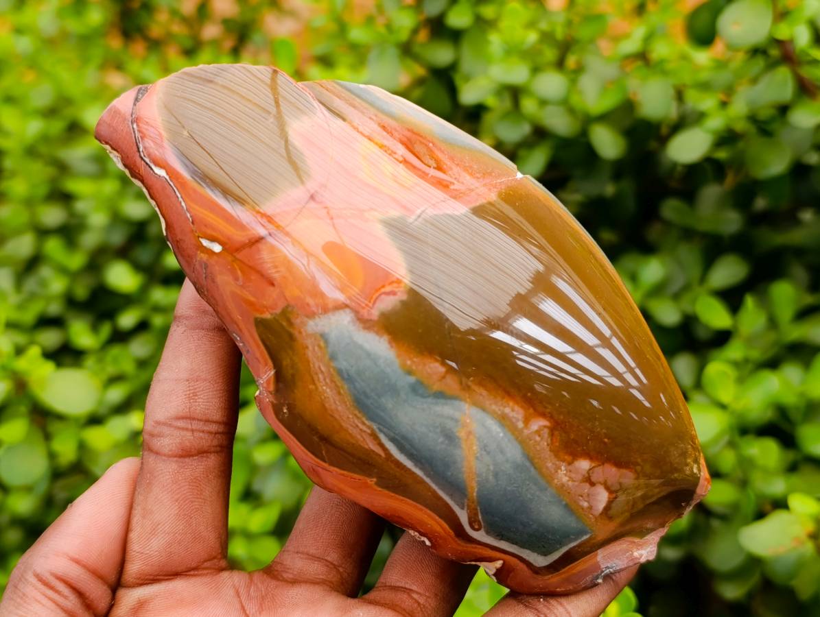Polished On One Side Polychrome Jasper x 4 From NW Coast Madagascar - Toprock Gemstones and Minerals 
