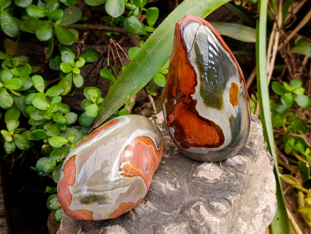 Polished On One Side Polychrome Jasper x 4 From NW Coast Madagascar - Toprock Gemstones and Minerals 