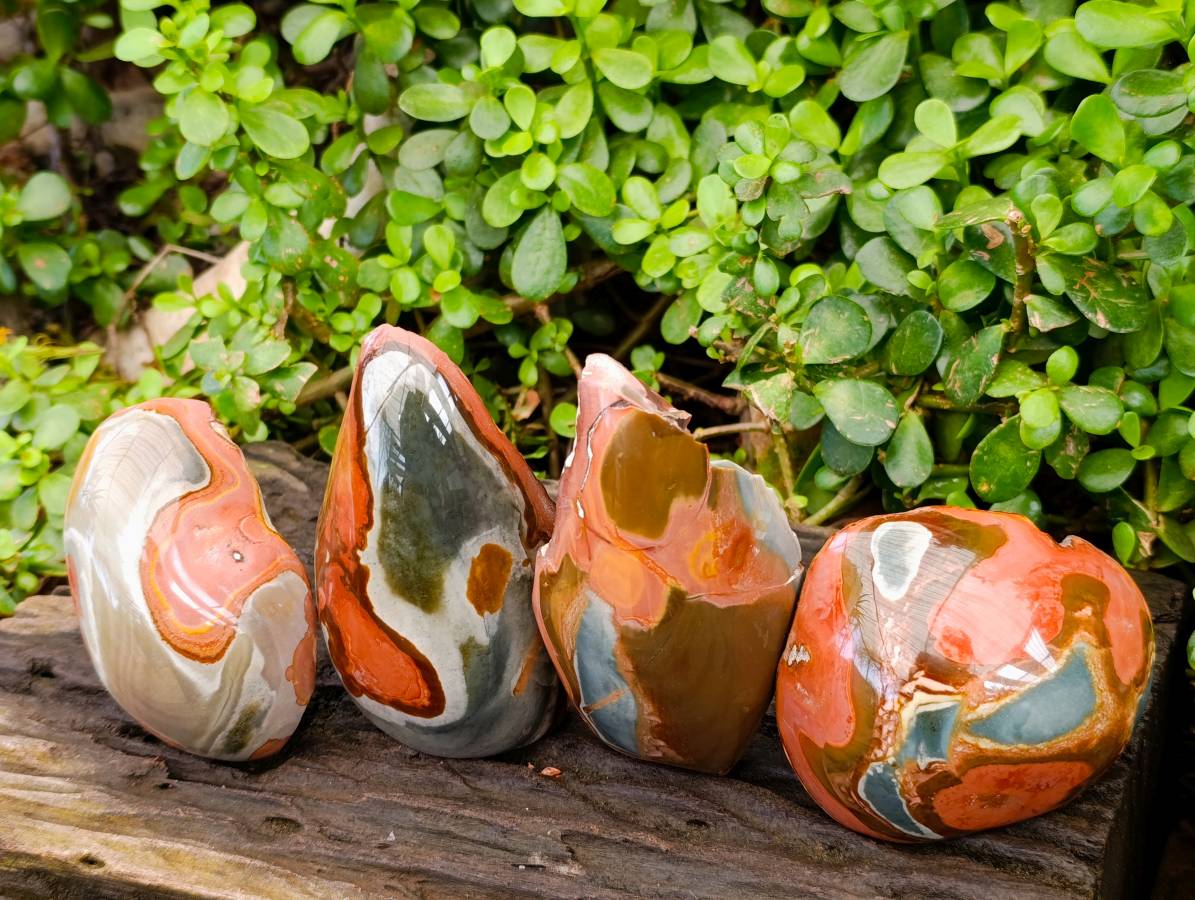 Polished On One Side Polychrome Jasper x 4 From NW Coast Madagascar - Toprock Gemstones and Minerals 