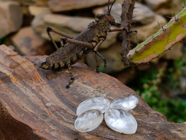 Polished Clear Quartz Crystal 'Angel Tears' x 44 From Madagascar - Toprock Gemstones and Minerals 