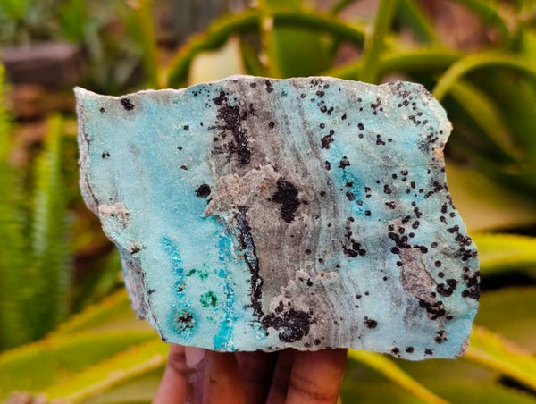 Natural Drusy Coated Chrysocolla Specimens x 4 From Lupoto Mine, Congo - Toprock Gemstones and Minerals 