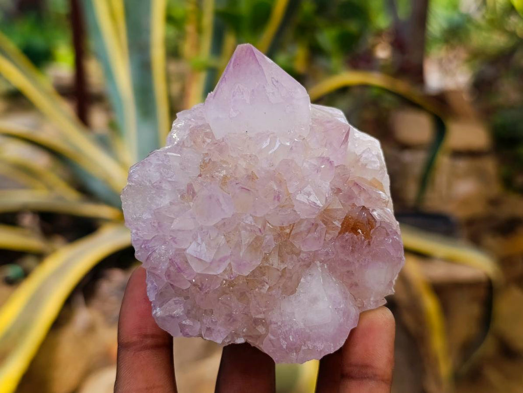 Natural Sunburst Amethyst Spirit Quartz Clusters x 3 From Boekenhouthoek, South Africa - Toprock Gemstones and Minerals 