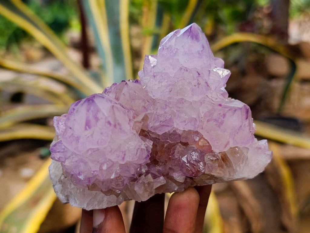 Natural Sunburst Amethyst Spirit Quartz Clusters x 3 From Boekenhouthoek, South Africa - Toprock Gemstones and Minerals 