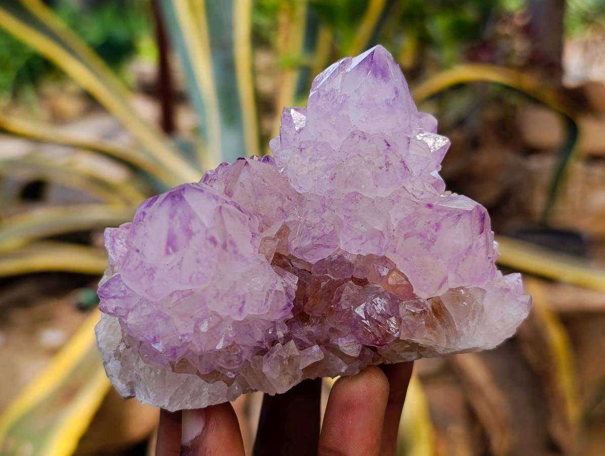 Natural Sunburst Amethyst Spirit Quartz Clusters x 3 From Boekenhouthoek, South Africa - Toprock Gemstones and Minerals 