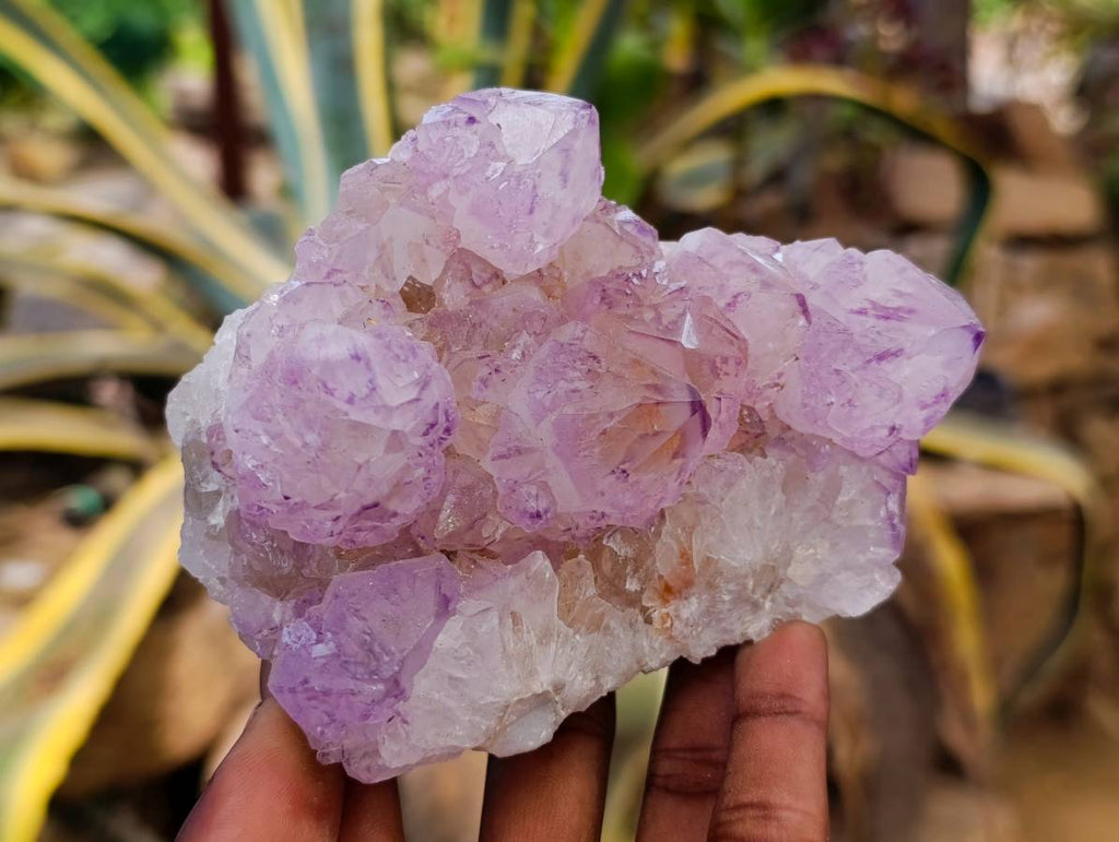 Natural Sunburst Amethyst Spirit Quartz Clusters x 3 From Boekenhouthoek, South Africa - Toprock Gemstones and Minerals 