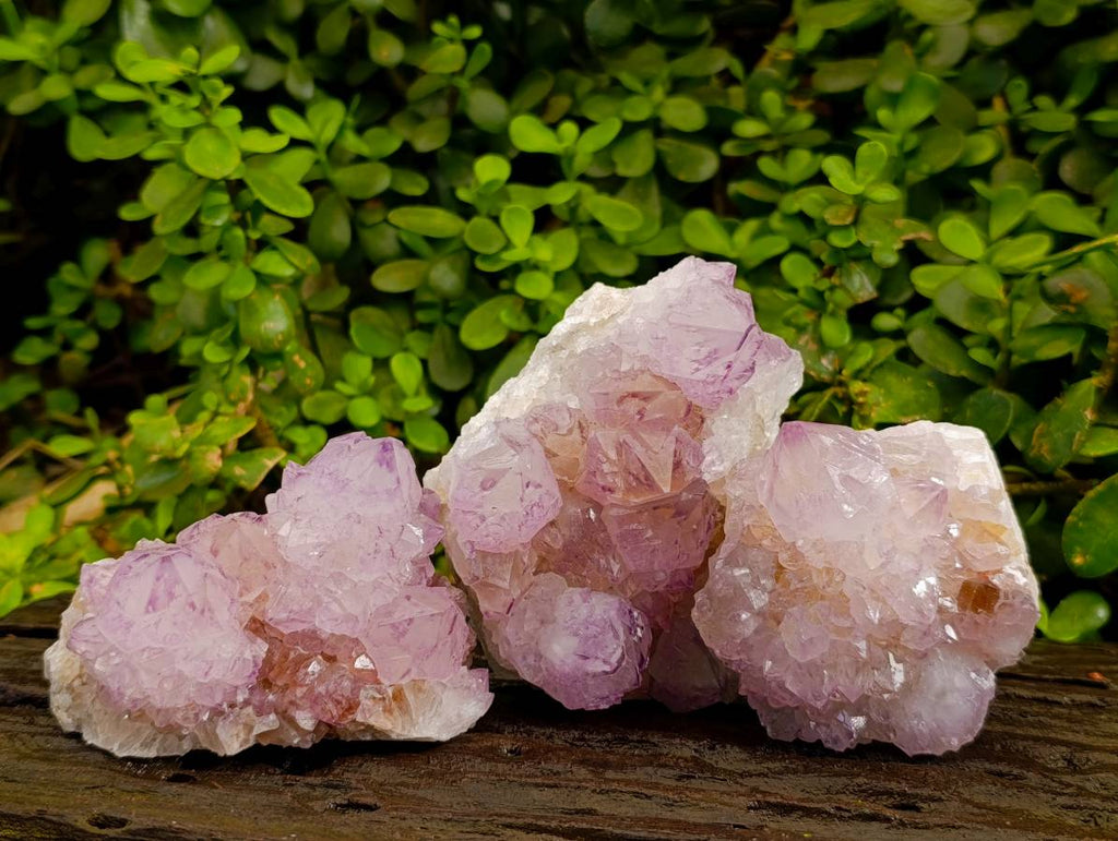 Natural Sunburst Amethyst Spirit Quartz Clusters x 3 From Boekenhouthoek, South Africa - Toprock Gemstones and Minerals 
