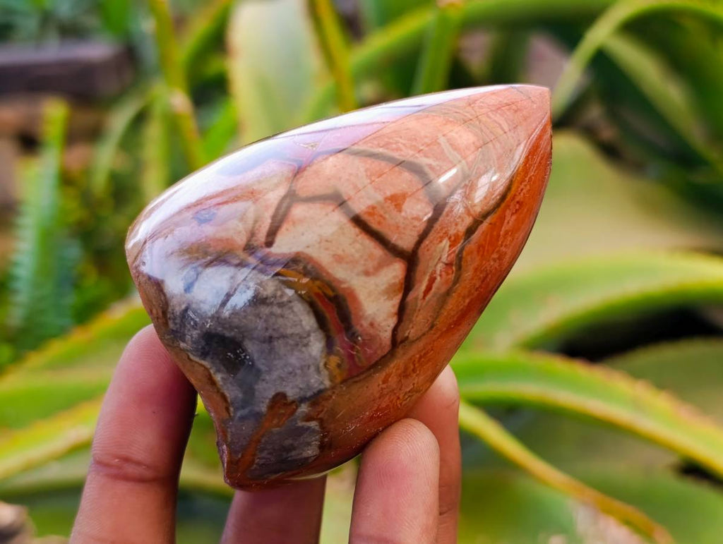 Polished On One Side Polychrome Jasper x 6 From NW Coast, Madagascar - Toprock Gemstones and Minerals 