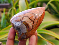 Polished On One Side Polychrome Jasper x 6 From NW Coast, Madagascar