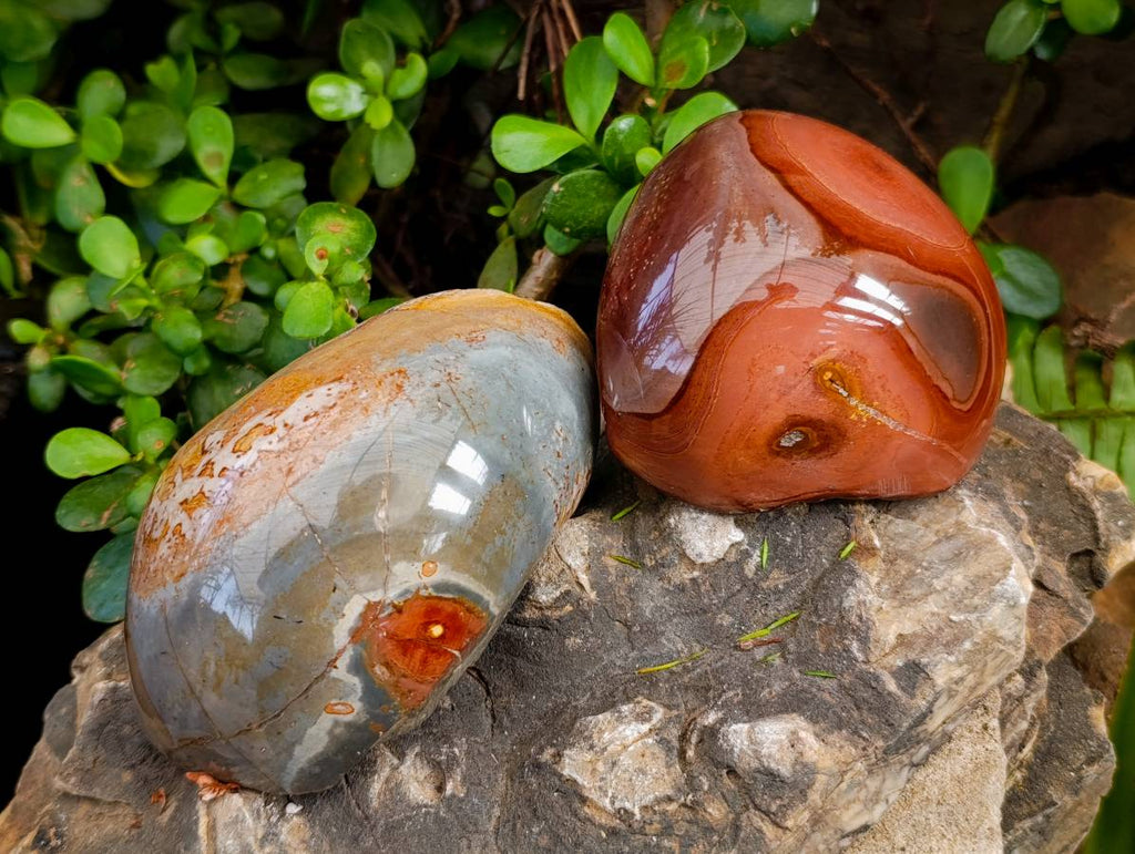 Polished On One Side Polychrome Jasper x 6 From NW Coast, Madagascar - Toprock Gemstones and Minerals 