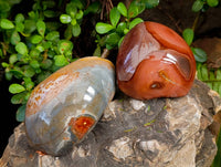 Polished On One Side Polychrome Jasper x 6 From NW Coast, Madagascar