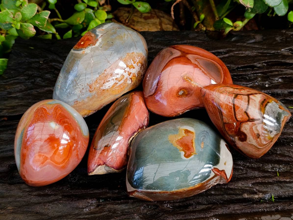 Polished On One Side Polychrome Jasper x 6 From NW Coast, Madagascar - Toprock Gemstones and Minerals 