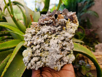 Natural Hyalite Opal Mineral Specimen x 1 From Erongo, Namibia - Toprock Gemstones and Minerals 