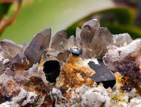 Natural Hyalite Opal Mineral Specimen x 1 From Erongo, Namibia - Toprock Gemstones and Minerals 