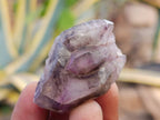 Natural Window Amethyst Crystals x 12 From Chiredzi, Zimbabwe - Toprock Gemstones and Minerals 