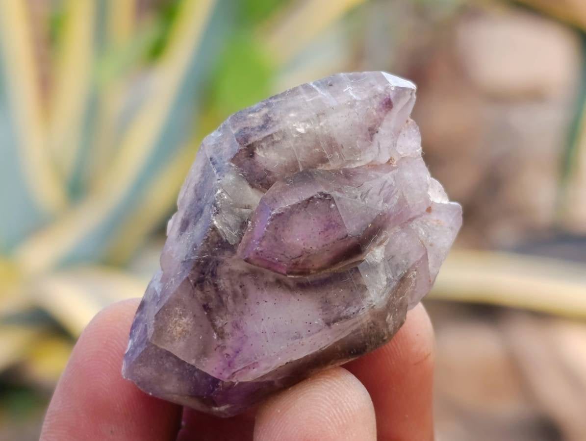 Natural Window Amethyst Crystals x 12 From Chiredzi, Zimbabwe - Toprock Gemstones and Minerals 