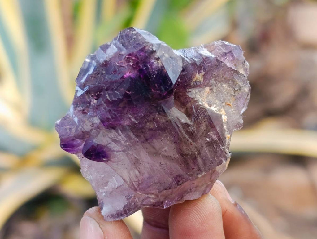 Natural Window Amethyst Crystals x 12 From Chiredzi, Zimbabwe - Toprock Gemstones and Minerals 