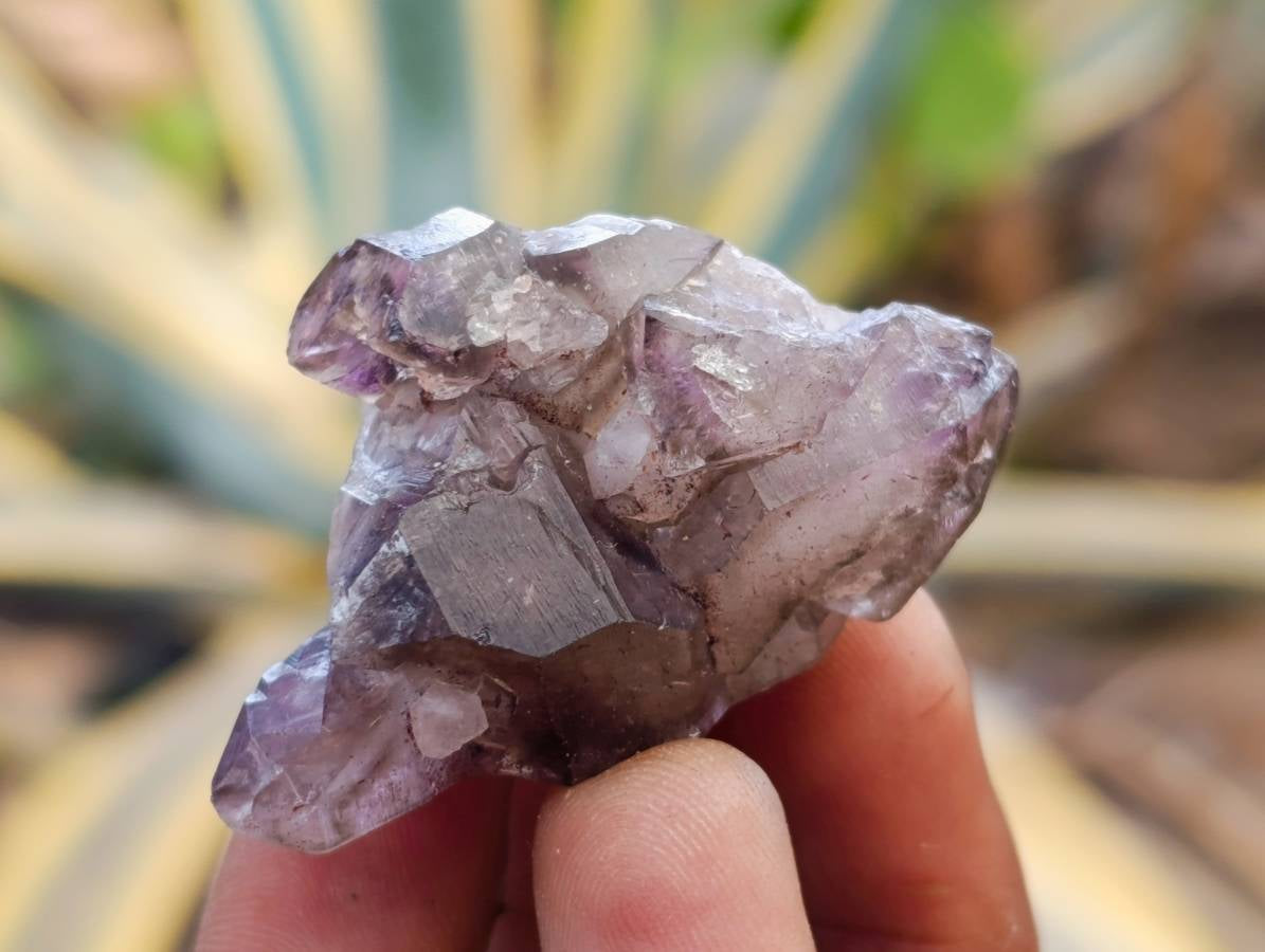 Natural Window Amethyst Crystals x 12 From Chiredzi, Zimbabwe - Toprock Gemstones and Minerals 