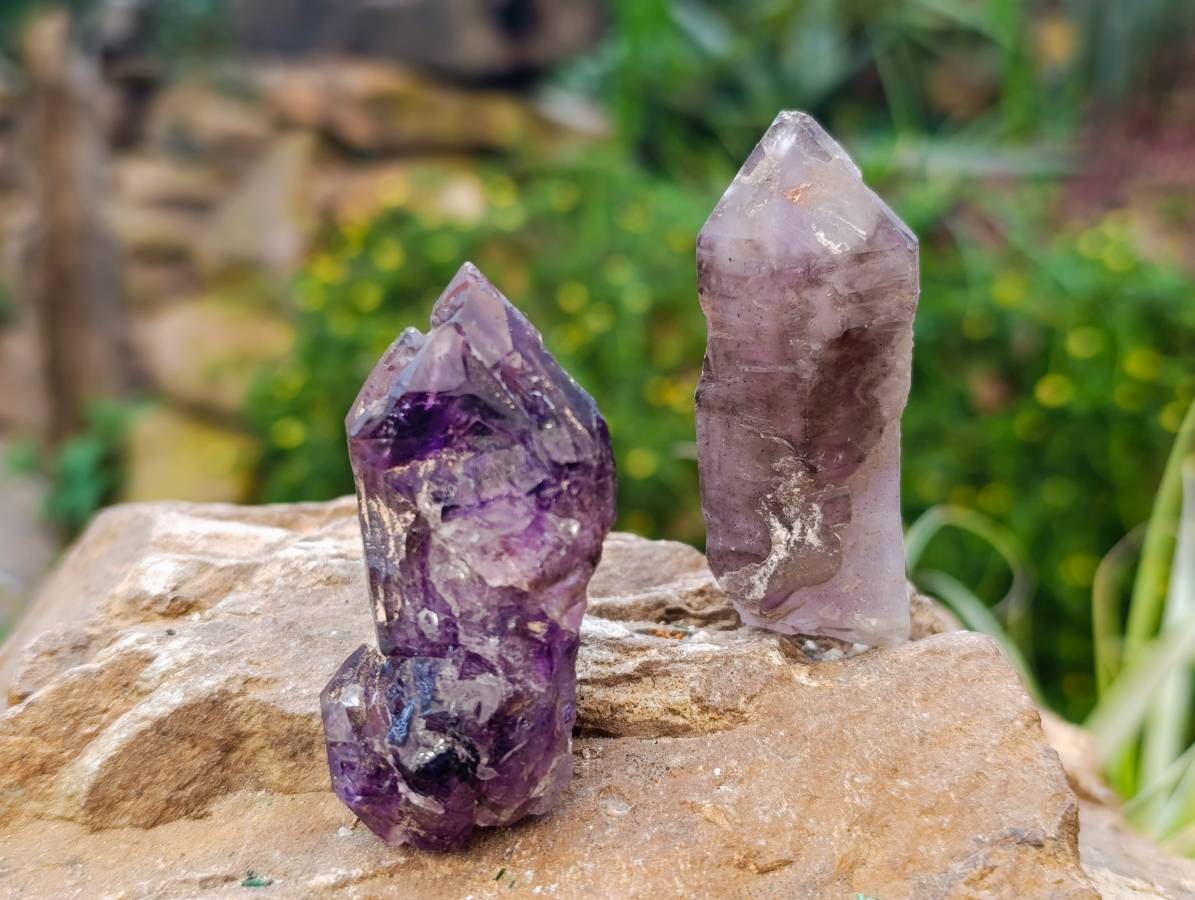 Natural Window Amethyst Crystals x 12 From Chiredzi, Zimbabwe - Toprock Gemstones and Minerals 