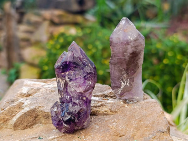 Natural Window Amethyst Crystals x 12 From Chiredzi, Zimbabwe