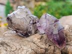 Natural Window Amethyst Crystals x 12 From Chiredzi, Zimbabwe - Toprock Gemstones and Minerals 