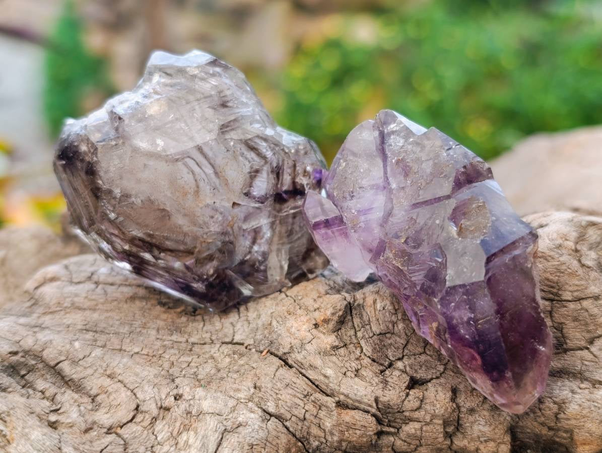 Natural Window Amethyst Crystals x 12 From Chiredzi, Zimbabwe - Toprock Gemstones and Minerals 