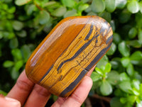 Polished Golden Tiger's Eye Free Forms x 6 From Prieska, South Africa - Toprock Gemstones and Minerals 