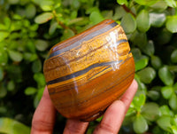 Polished Golden Tiger's Eye Free Forms x 6 From Prieska, South Africa - Toprock Gemstones and Minerals 