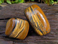 Polished Golden Tiger's Eye Free Forms x 6 From Prieska, South Africa - Toprock Gemstones and Minerals 